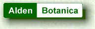 Alden Botanica Kava