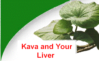 Kava aids in promoting calm