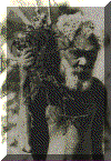 kavaprocess1.gif (68976 bytes)